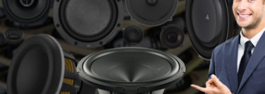 Why are Speakers Different Sizes?