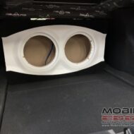 Tesla Subwoofer