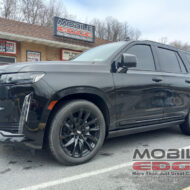 Escalade Tint