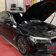 BMW Tint